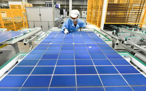 中国经济样本观察 企业样本篇 追光逐新 光伏独角兽华晟新能源的成长故事